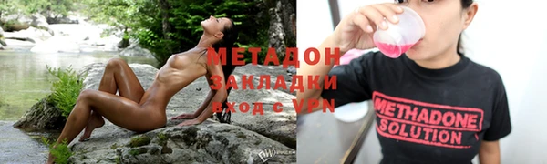 прущие грибы Абинск