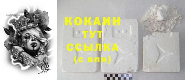 прущие грибы Абинск