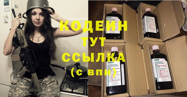 прущие грибы Абинск