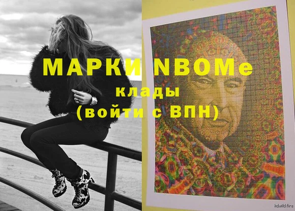 прущие грибы Абинск