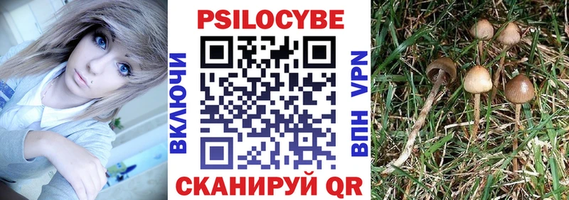 Галлюциногенные грибы Psilocybine cubensis  мориарти Telegram  Ковдор 