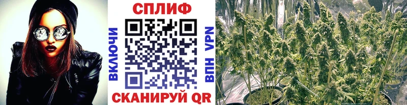 МАРИХУАНА тримм  купить  цена  Ковдор 